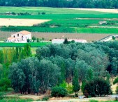 Bodega Divina Proporción