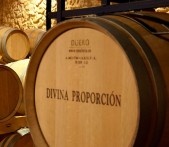 Bodega Divina Proporción