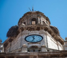 Clock's arch