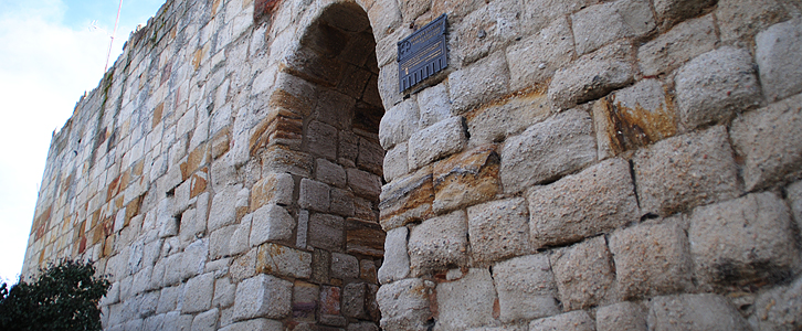 Portillo De La Traición En Zamora
