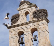 Church of San Isidoro