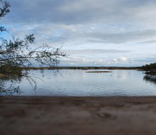 Lagunas de Villafafila