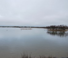 Lagunas de Villafafila