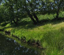 Otros pueblos de Sanabria