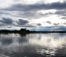 Lagunas de Villafafila