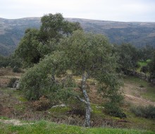 Pueblos y miradores