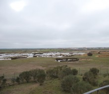 Lagunas de Villafafila