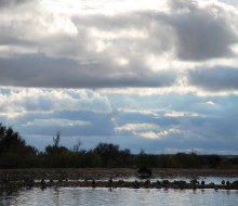 Lagunas de Villafafila