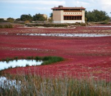 Lagunas y observatorios