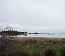 Lagunas de Villafafila