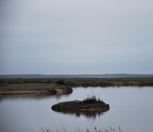 Lagunas de Villafafila