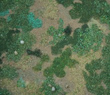 Flora y fauna