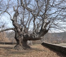 Otros pueblos de Sanabria