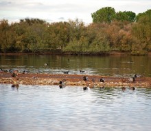 Lagunas y observatorios