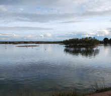 Lagunas de Villafafila