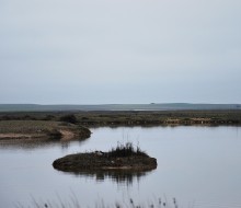 Lagunas de Villafafila