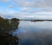 Lagunas de Villafafila