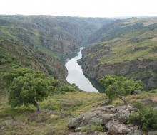 Río Duero