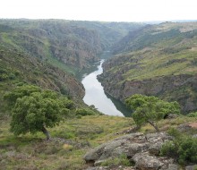 Río Duero