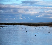 Lagunas y observatorios