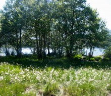 El Lago de Sanabria