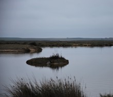 Lagunas de Villafafila