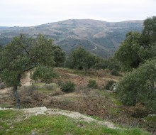 Pueblos y miradores