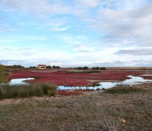 Lagunas y observatorios