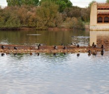 Lagunas y observatorios